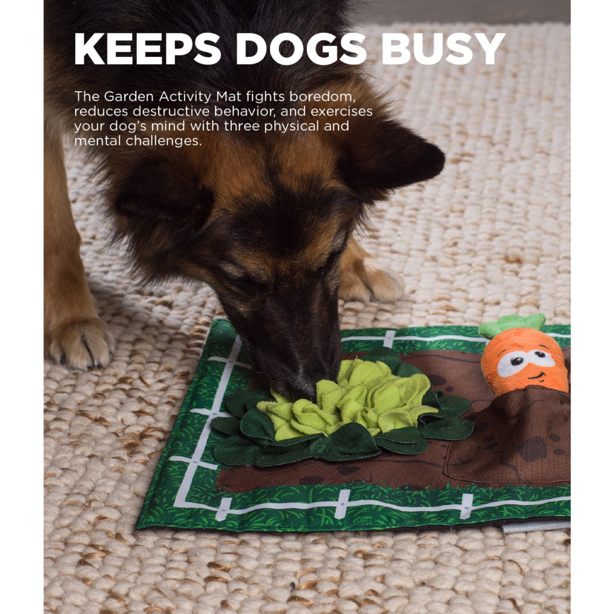Dog sniffing the Nina Ottosson Garden Game activity mat to find hidden treats during supervised enrichment play