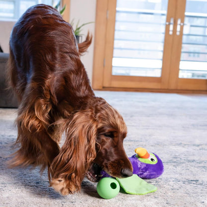 Dog playing with Nina Ottosson Hide-Ablez Toucan plush treat puzzle toy indoors