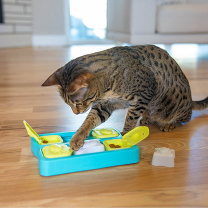 Cat using Nina Ottosson Kitty Cube puzzle feeder for treat hunting and slower feeding