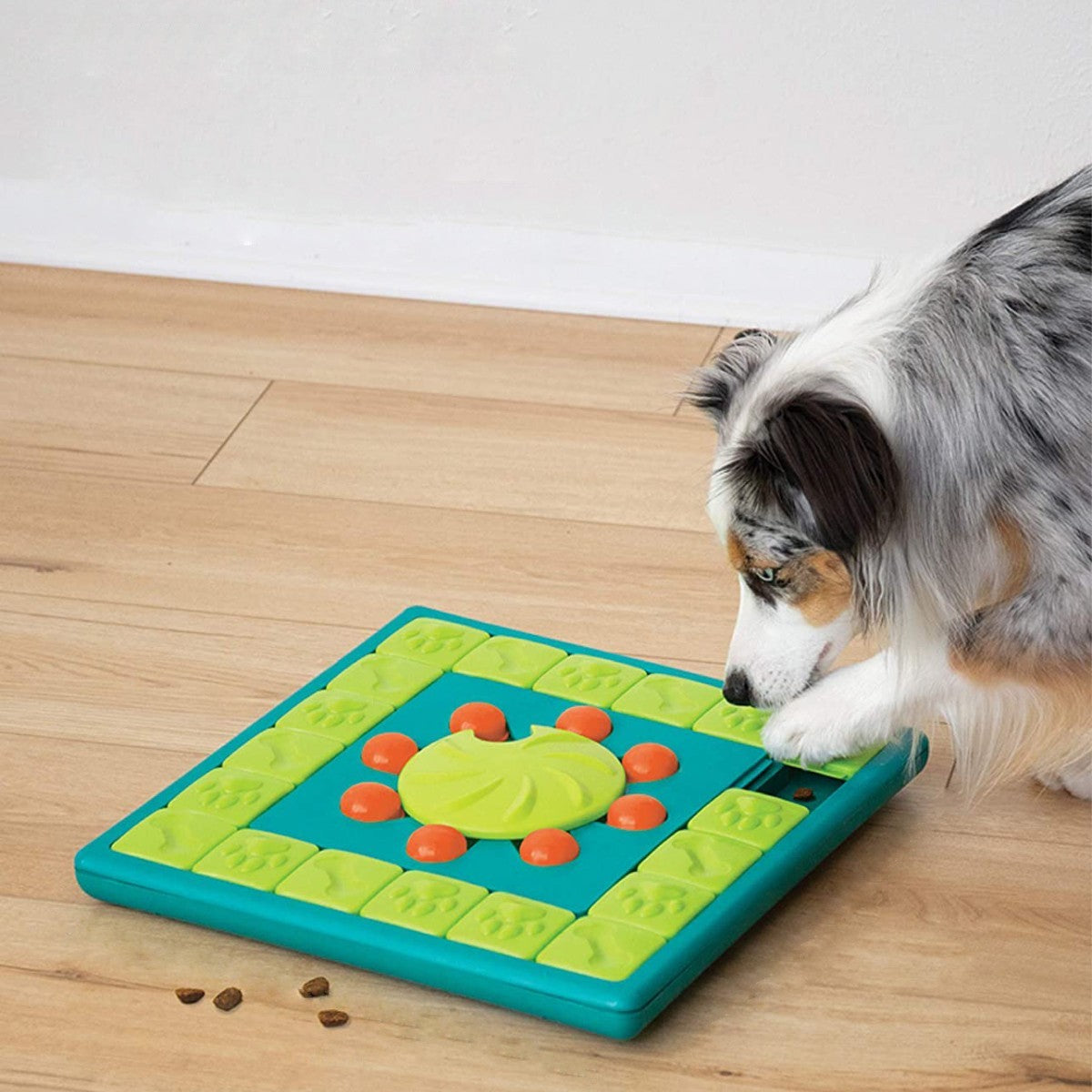 Dog using Nina Ottosson MultiPuzzle Level 4 to find hidden treats