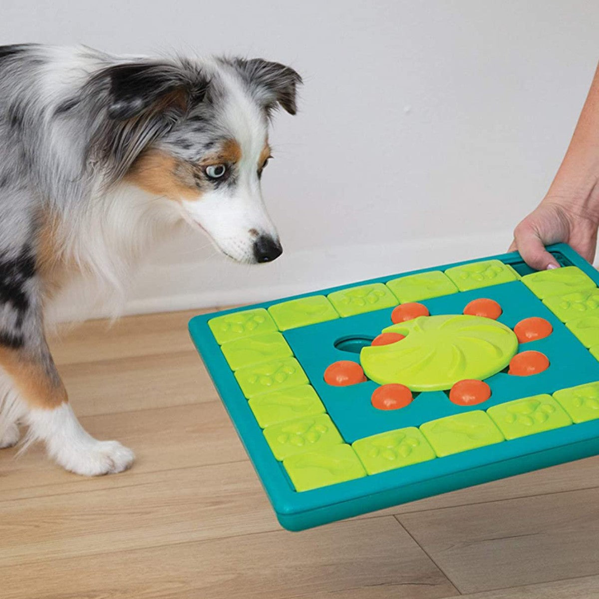 Close-up of MultiPuzzle sliders and rotating center wheel revealing treats