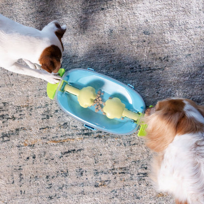 Two dogs using Nina Ottosson Paw N Play Level 2 interactive dog puzzle with hidden treats