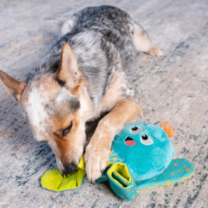 Dog playing with Nina Ottosson Silly Legz Octopus plush dog puzzle and hidden treat pockets