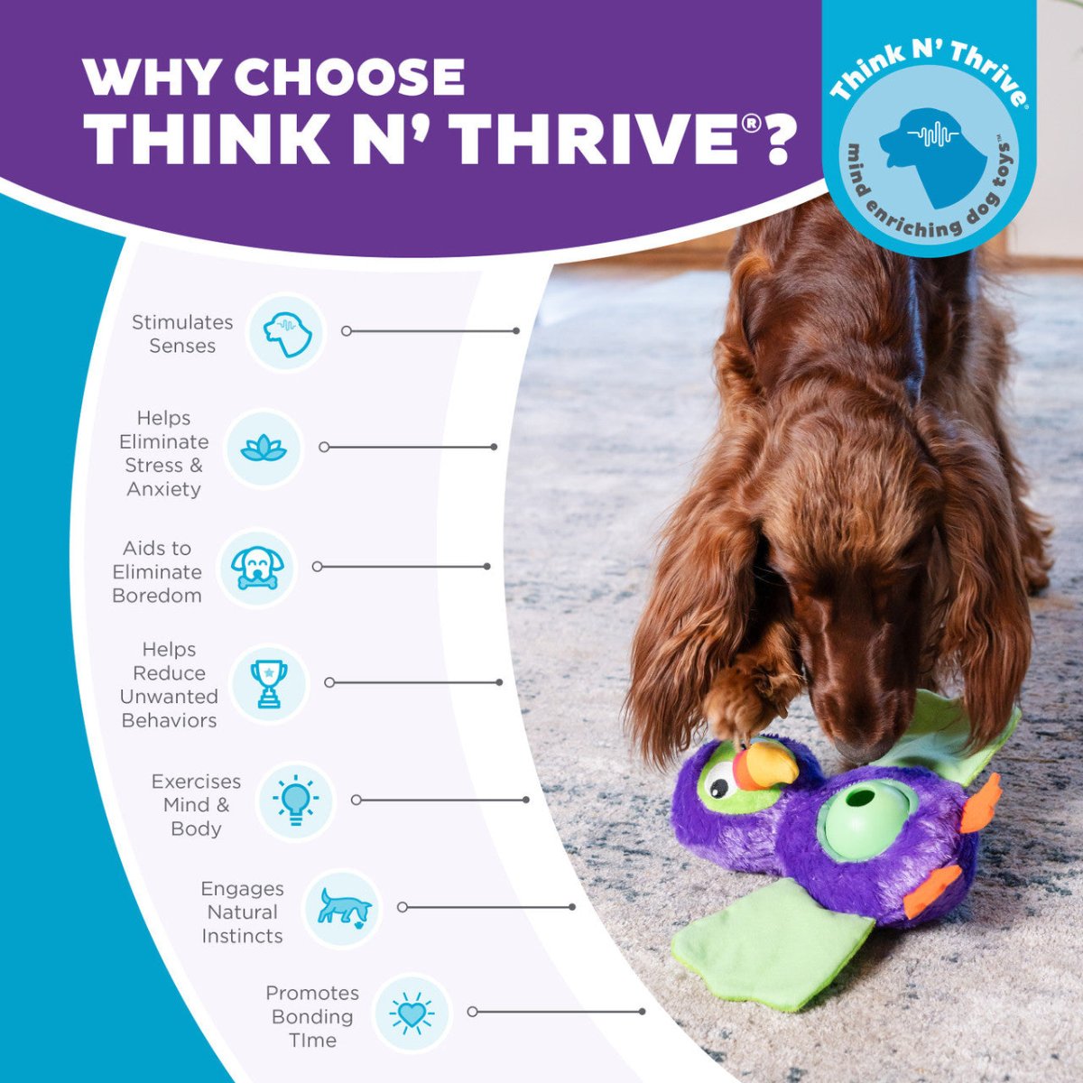 Nina Ottosson Snuffle Palz Chicken features showing plush design hidden pockets snuffle mat squeaky toy and non slip base