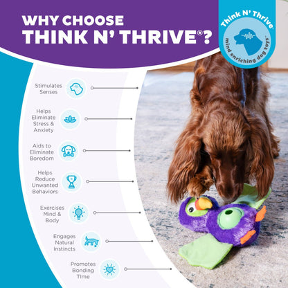 Nina Ottosson Snuffle Palz Chicken features showing plush design hidden pockets snuffle mat squeaky toy and non slip base