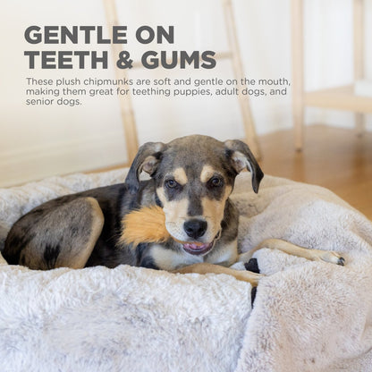 Soft plush chipmunk replacement toy gentle on dog teeth and gums for puppies adult dogs and senior dogs