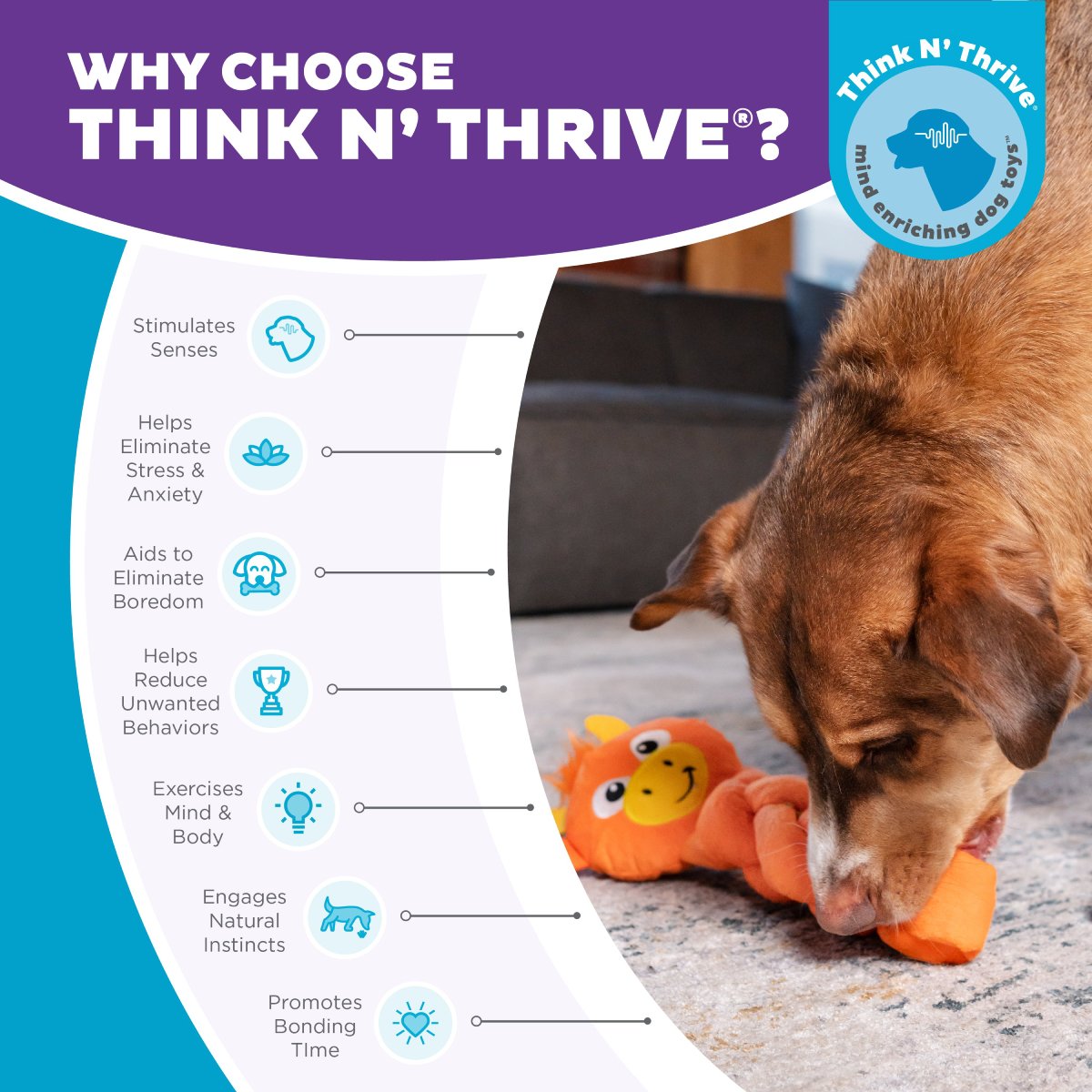 Nina Ottosson Twistiez Dragon Think N Thrive dog enrichment toy benefits for mental stimulation and natural instincts