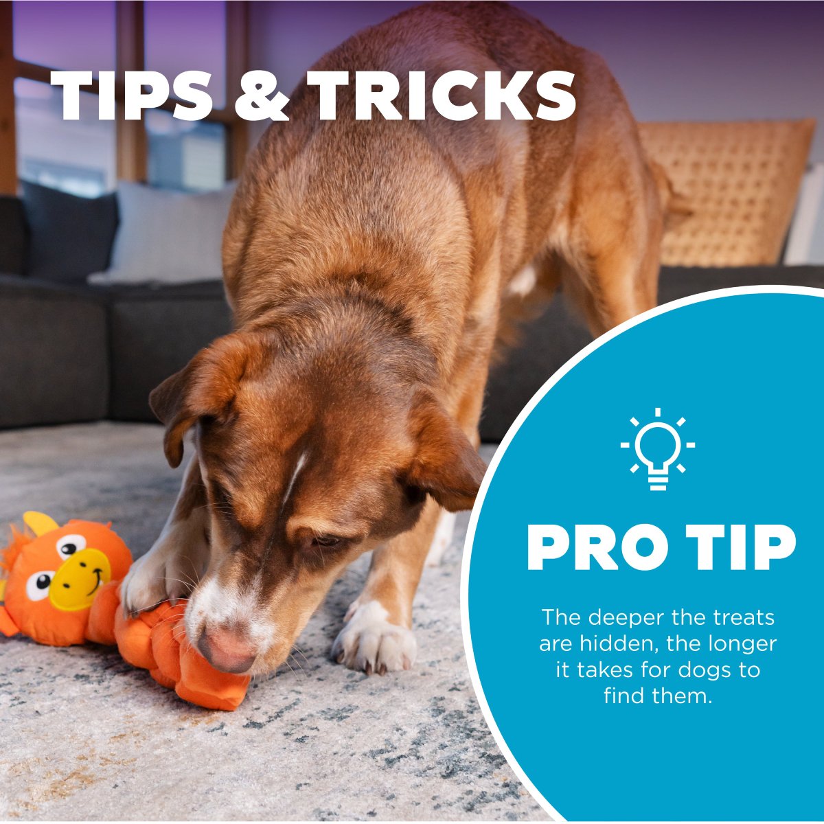 Nina Ottosson Twistiez Dragon pro tip showing deeper treat hiding for longer dog enrichment play