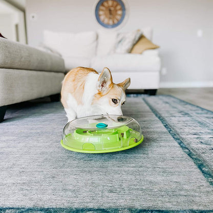 Dog using Nina Ottosson Wobble Bowl to get kibble for mental enrichment