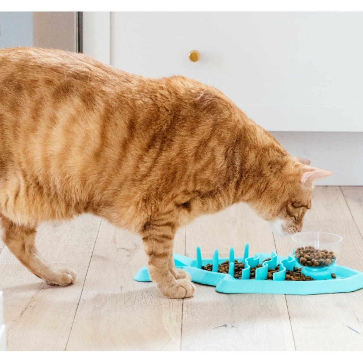 Cat using the Outward Hound Hunt 'n Snack Mat slow feeder