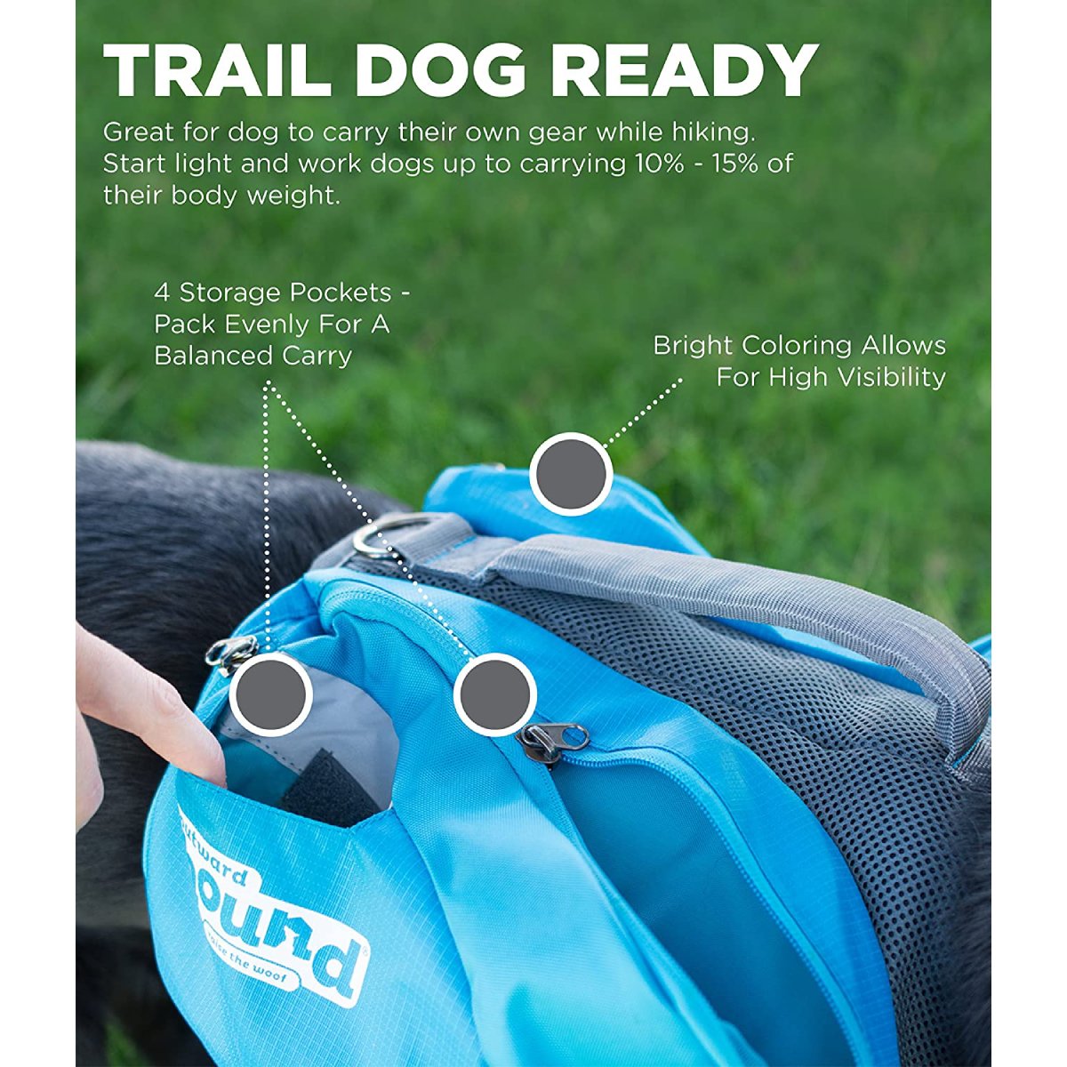 Outward Hound DayPak blue dog backpack showing four storage pockets and high visibility design