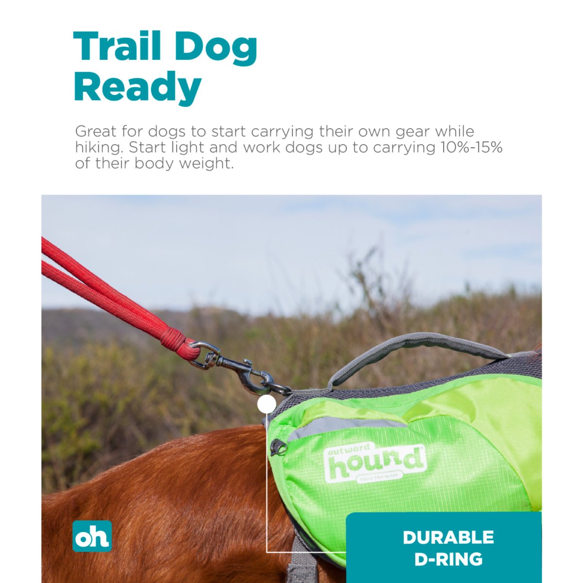 Outward Hound DayPak Green dog backpack with D-ring leash attachment for outdoor walks and hiking
