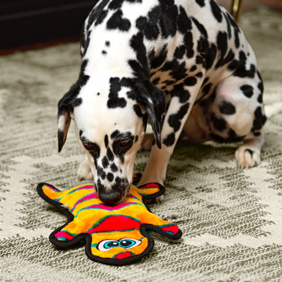 Dalmatian playing with Outward Hound Durablez Gecko Orange Large plush squeaky dog toy