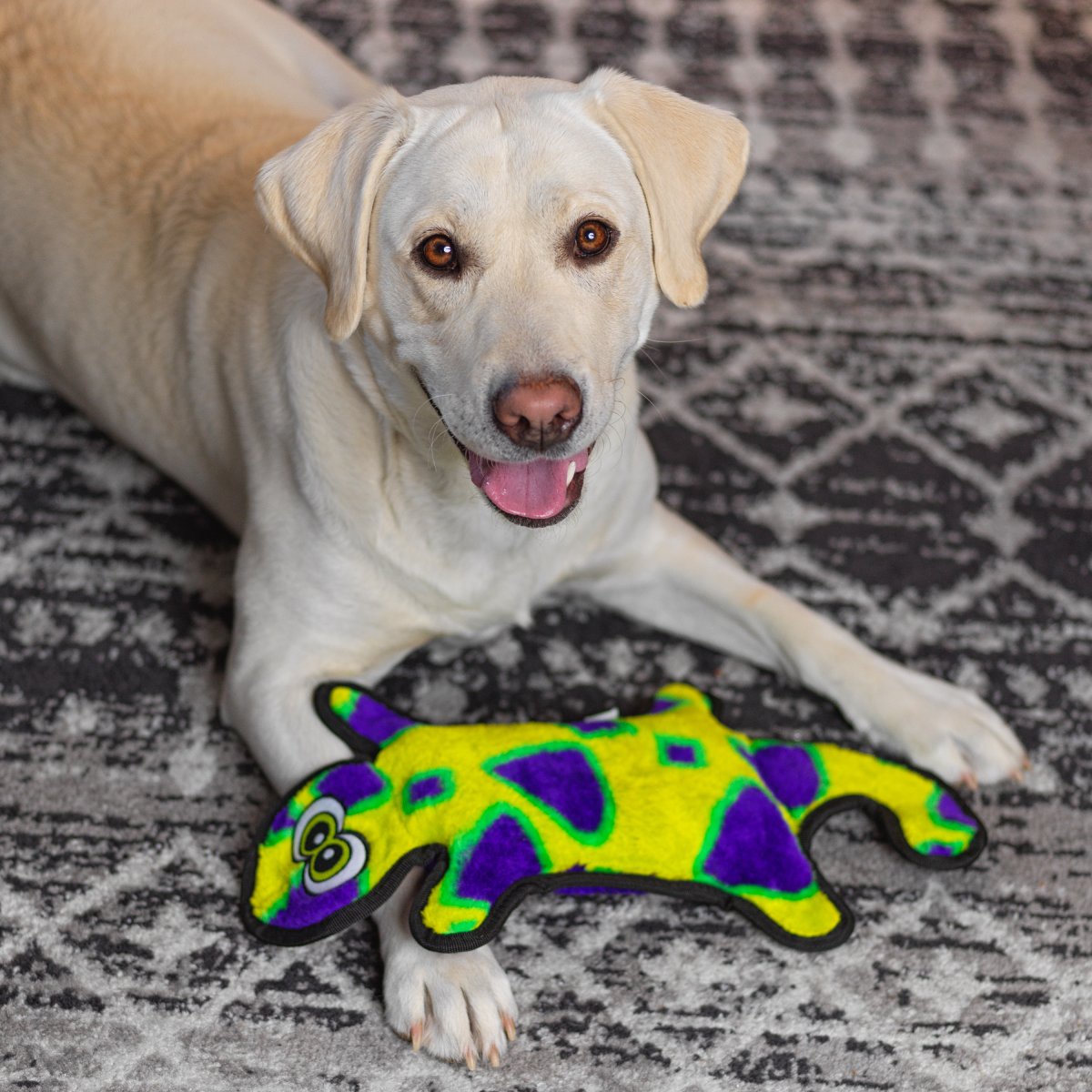 Dog lying beside Outward Hound Durablez Gecko Yellow Large plush dog toy