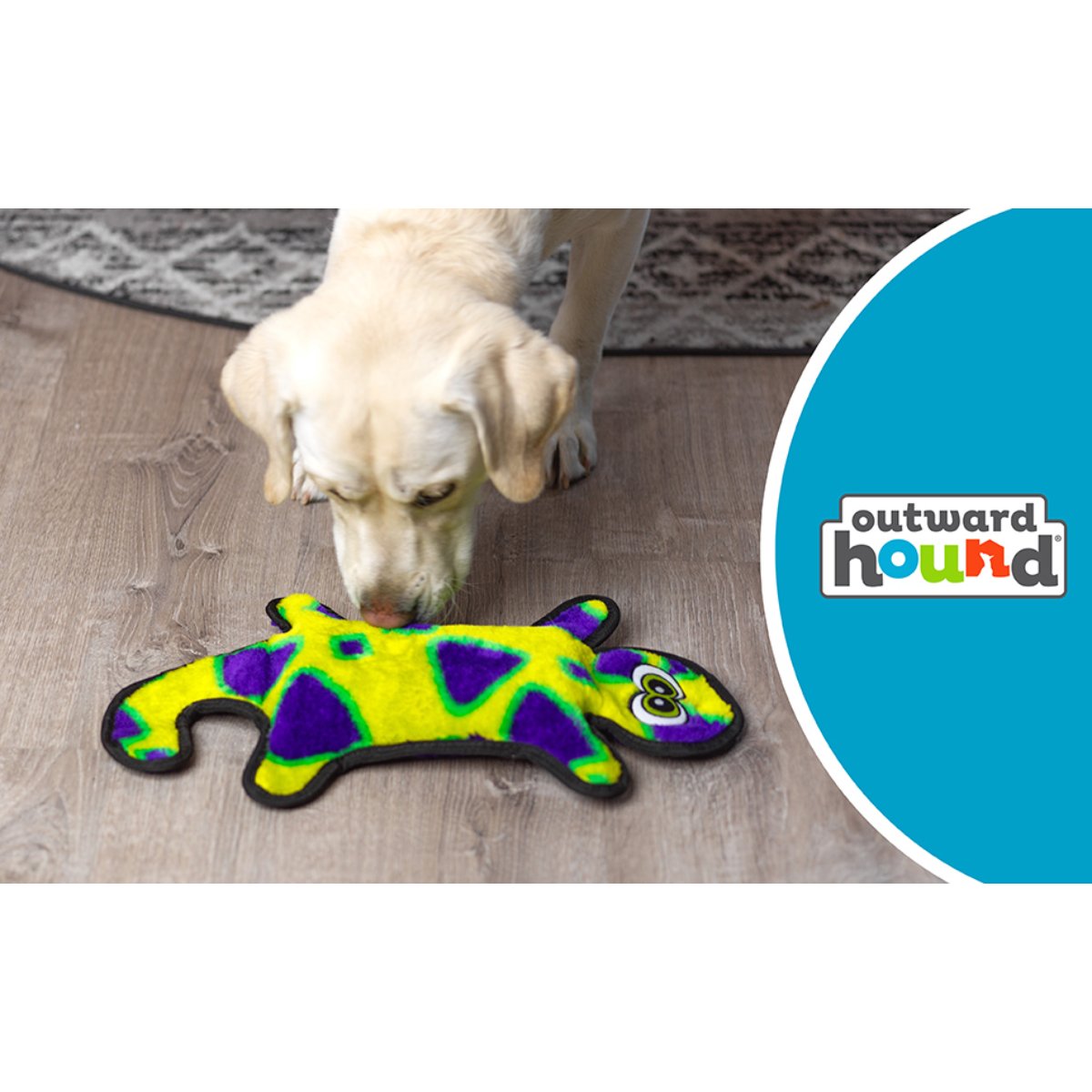 Dog playing with Outward Hound Durablez Gecko Yellow Large plush squeaky dog toy indoors