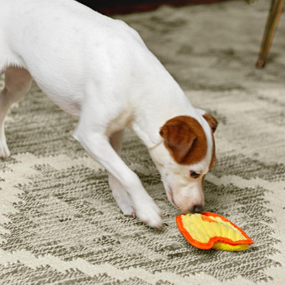 Dog approaching Outward Hound Durablez Mini Chicken yellow squeaky plush toy