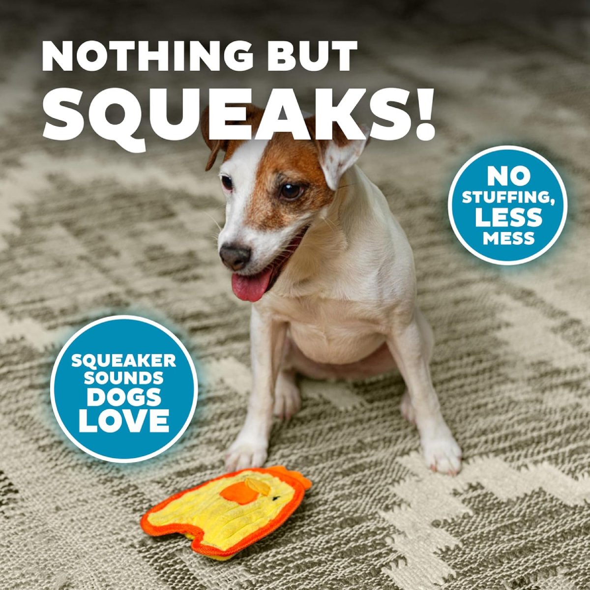 Outward Hound Durablez Mini Chicken stuffing-free squeaky dog toy with dog during play