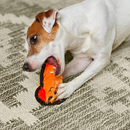 Dog chewing and playing with the Outward Hound Durablez Mini Dog orange plush squeaky toy