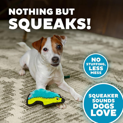 Dog with Outward Hound Durablez Mini Hedgehog stuffing-free squeaky dog toy