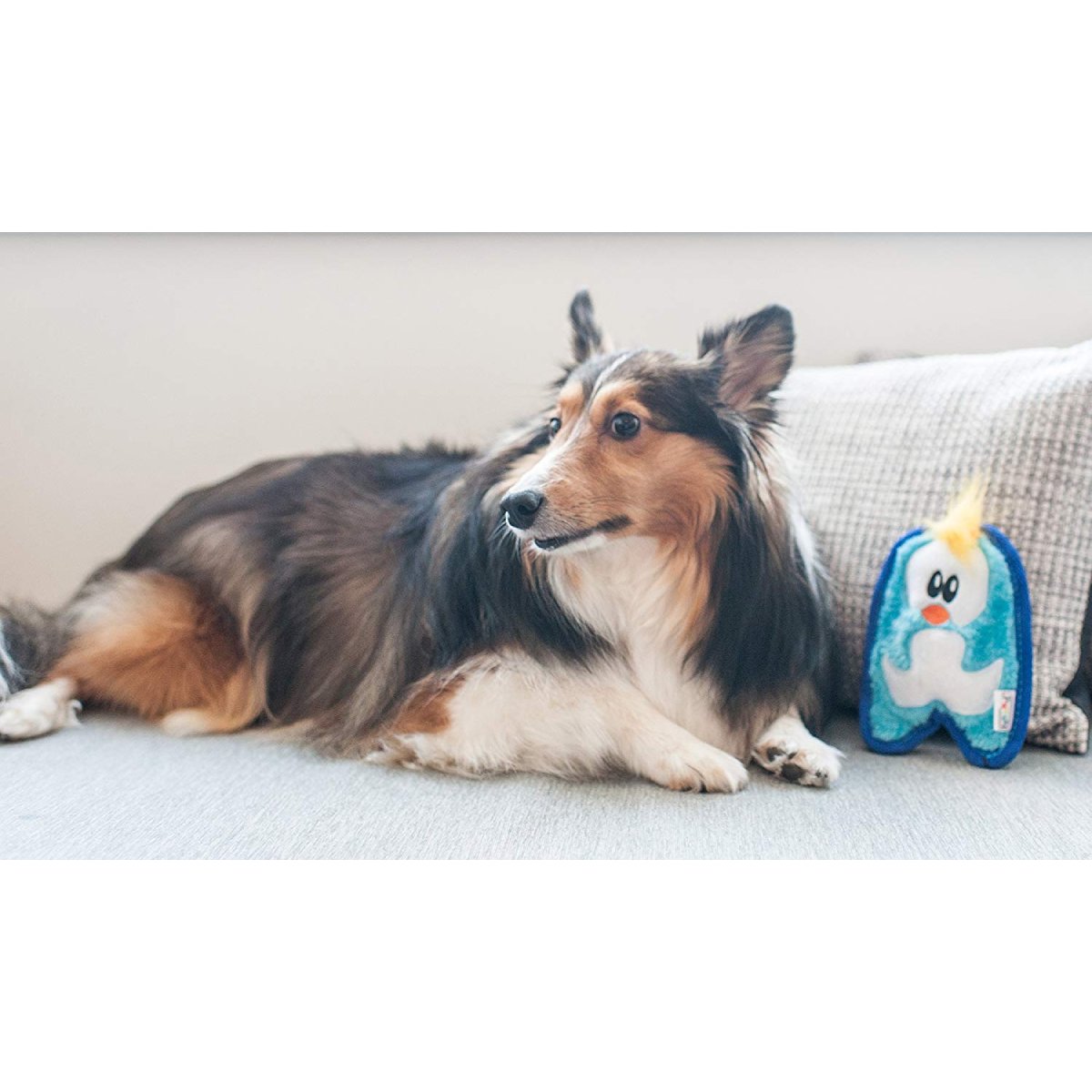 Dog resting beside the Outward Hound Durablez Mini Penguin dog toy