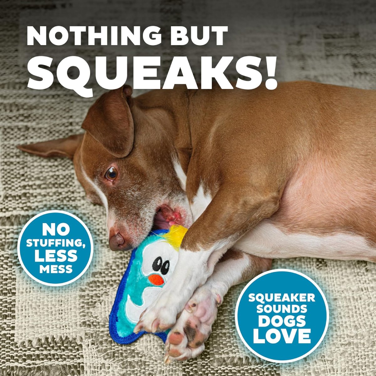 Dog playing with the Outward Hound Durablez Mini Penguin stuffing-free squeaky dog toy