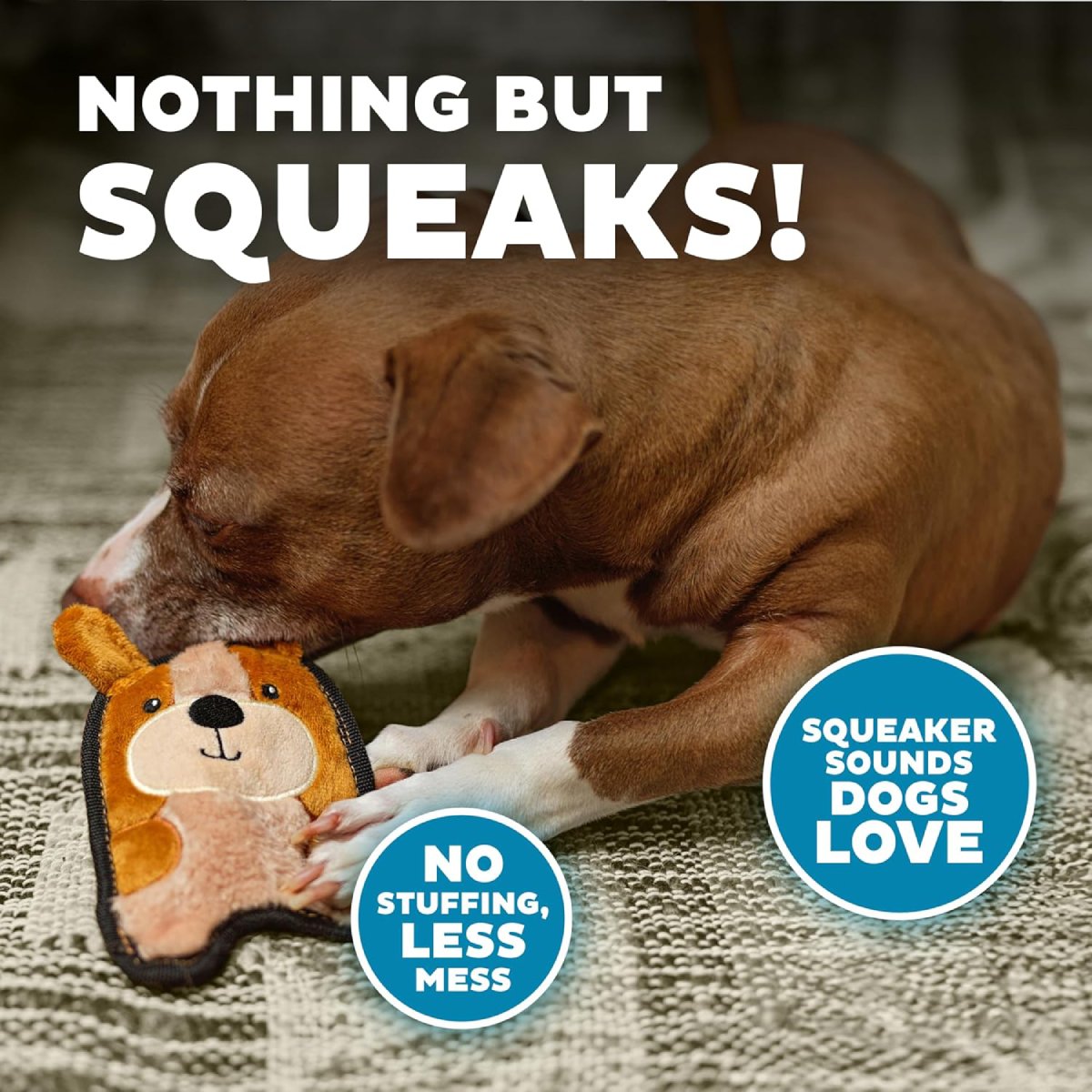 Dog playing with Outward Hound Durablez Mini Puppy plush dog toy with Nothing But Squeaks graphic