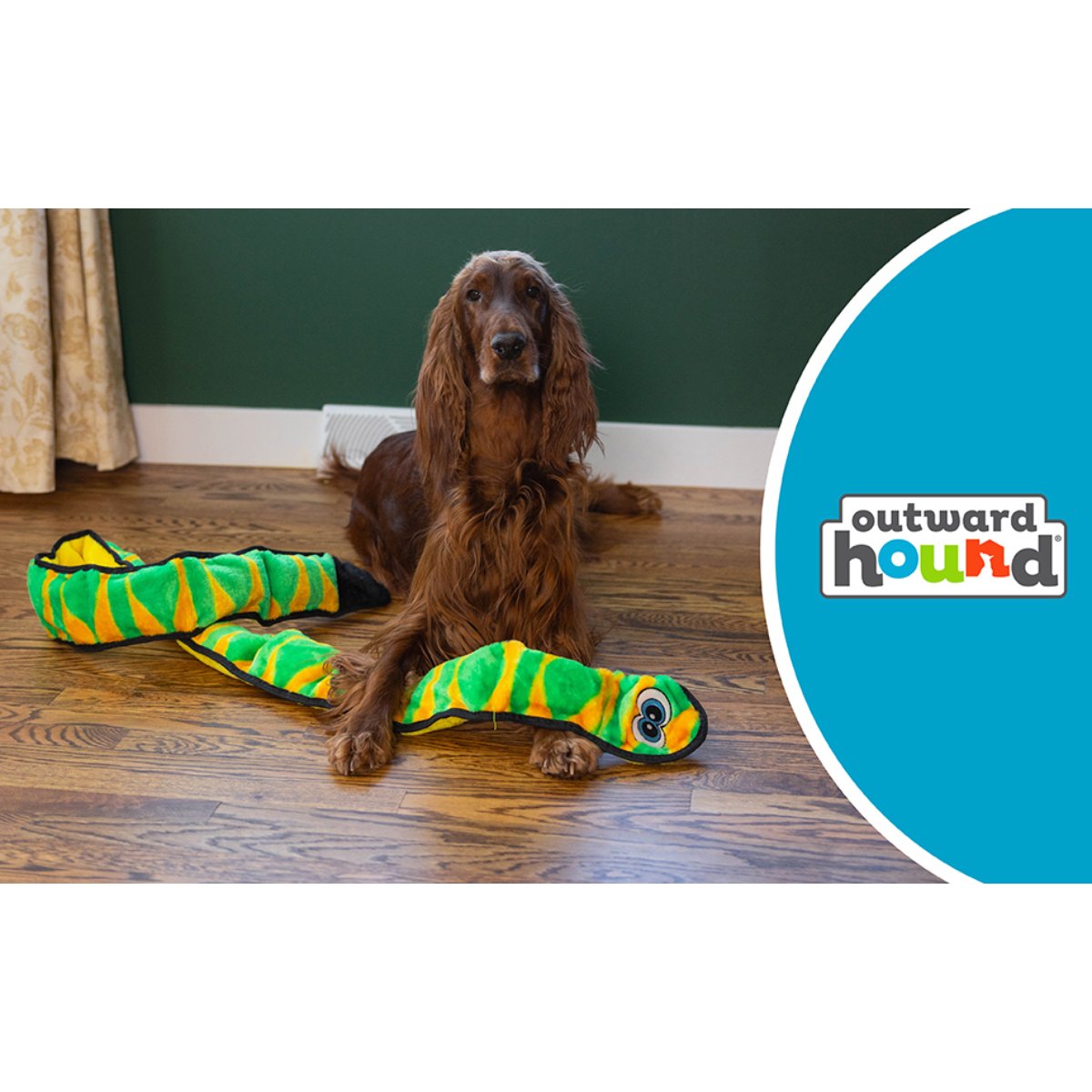 Irish Setter with Outward Hound Durablez Snake Green XXL plush dog toy in an indoor lifestyle setting