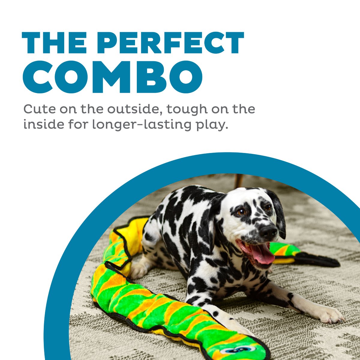 Dalmatian with Outward Hound Durablez Snake Green XXL plush dog toy during indoor play