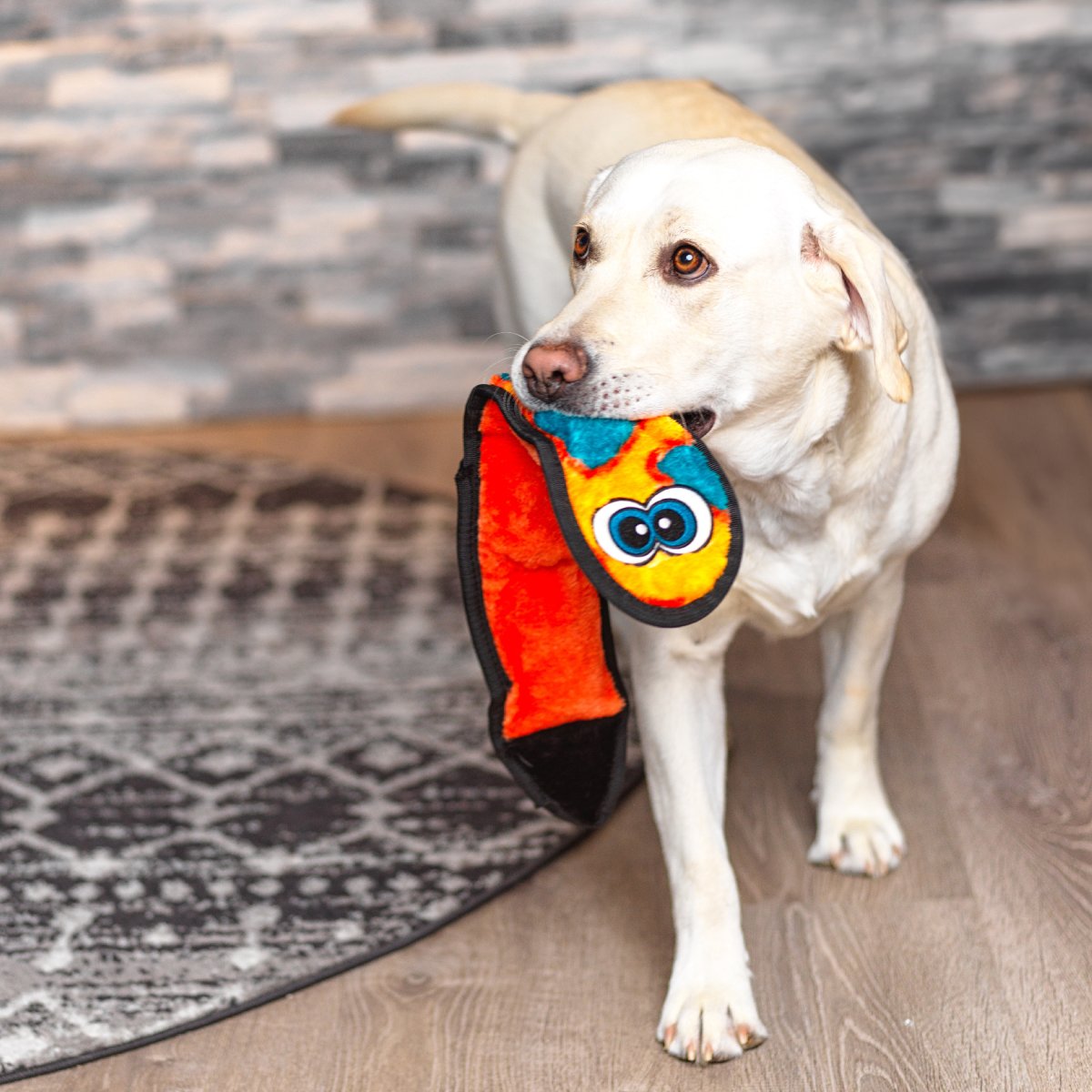 Dog carrying orange Outward Hound Durablez Snake Plush Dog Toy Large