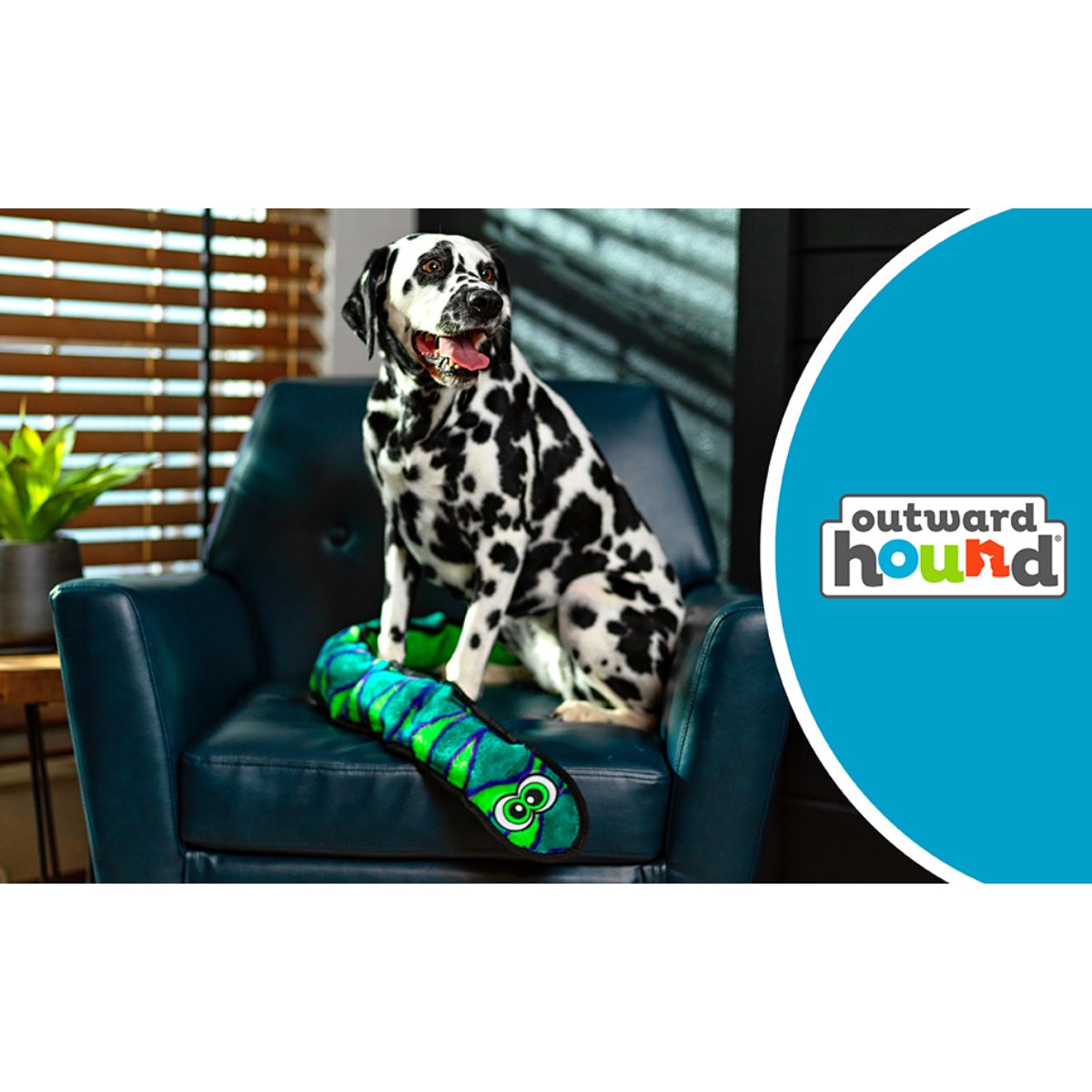 Dalmatian beside Outward Hound Durablez Snake X Large Blue plush dog toy in an indoor lifestyle setting