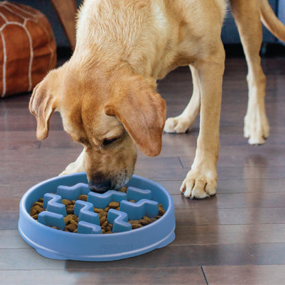 Dog eating dry food from Outward Hound Fun Feeder Notch Blue slow feeder bowl