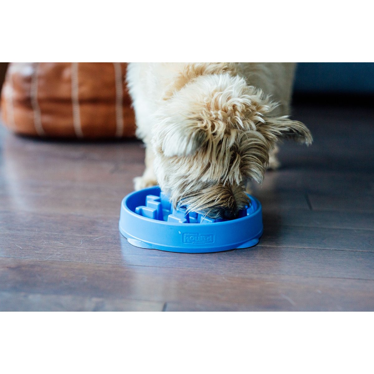 Dog using Outward Hound Fun Feeder Notch Blue slow feeder bowl at mealtime