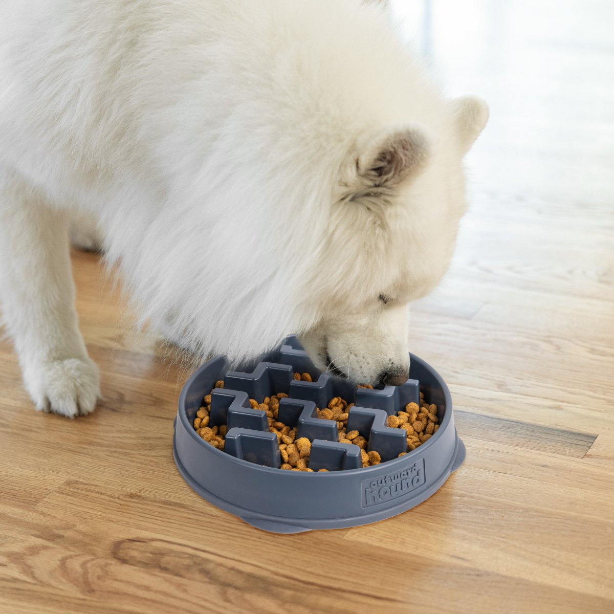 Large dog eating from Outward Hound Fun Feeder Notch Carbon slow feeder bowl