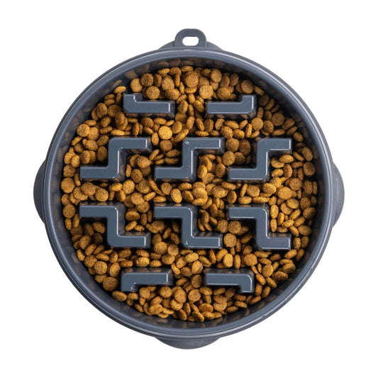 Outward Hound Fun Feeder Notch Carbon slow feeder dog bowl filled with dry food