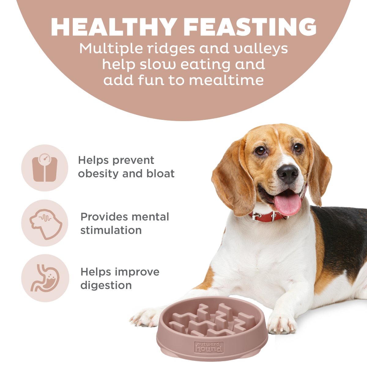 Outward Hound Fun Feeder Notch DRS slow feeder showing raised ridges and mealtime benefits