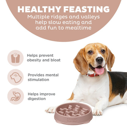 Outward Hound Fun Feeder Notch DRS slow feeder showing raised ridges and mealtime benefits