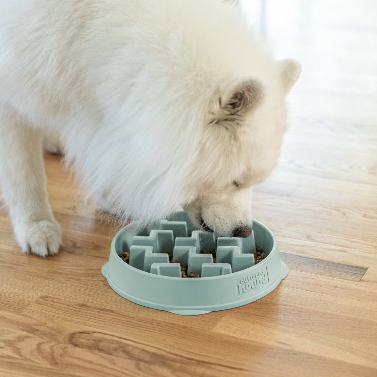 Dog eating from Outward Hound Fun Feeder Notch Sage Large slow feeder bowl