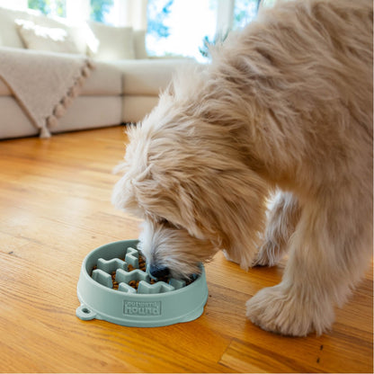 Dog eating from Outward Hound Fun Feeder Notch Sage Medium slow feeder bowl