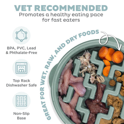 Outward Hound Fun Feeder Notch Sage showing wet raw and dry food use, non-slip base and dishwasher care