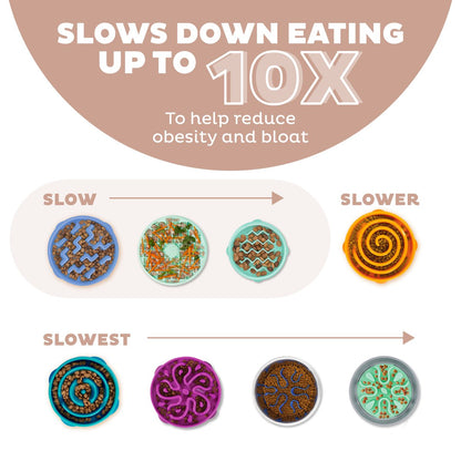Outward Hound Fun Feeder guide comparing Slow, Slower and Slowest feeder designs