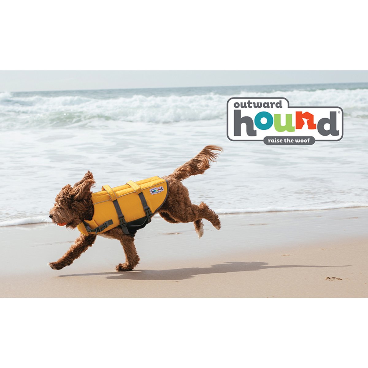 Dog wearing Outward Hound Granby Splash yellow life jacket on the beach