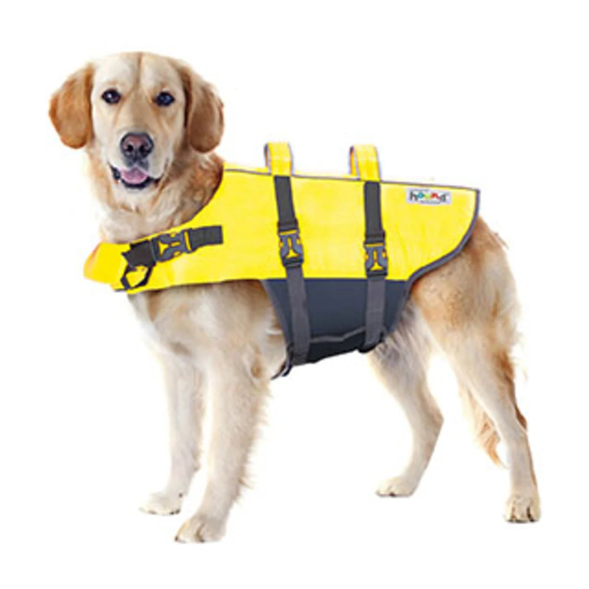 Dog wearing Outward Hound Granby Splash yellow dog life jacket with adjustable straps