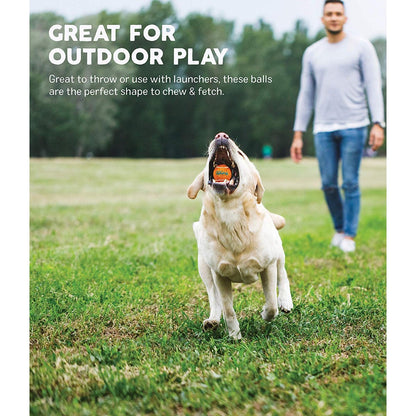Dog catching an Outward Hound Squeaker Ballz fetch toy during outdoor play