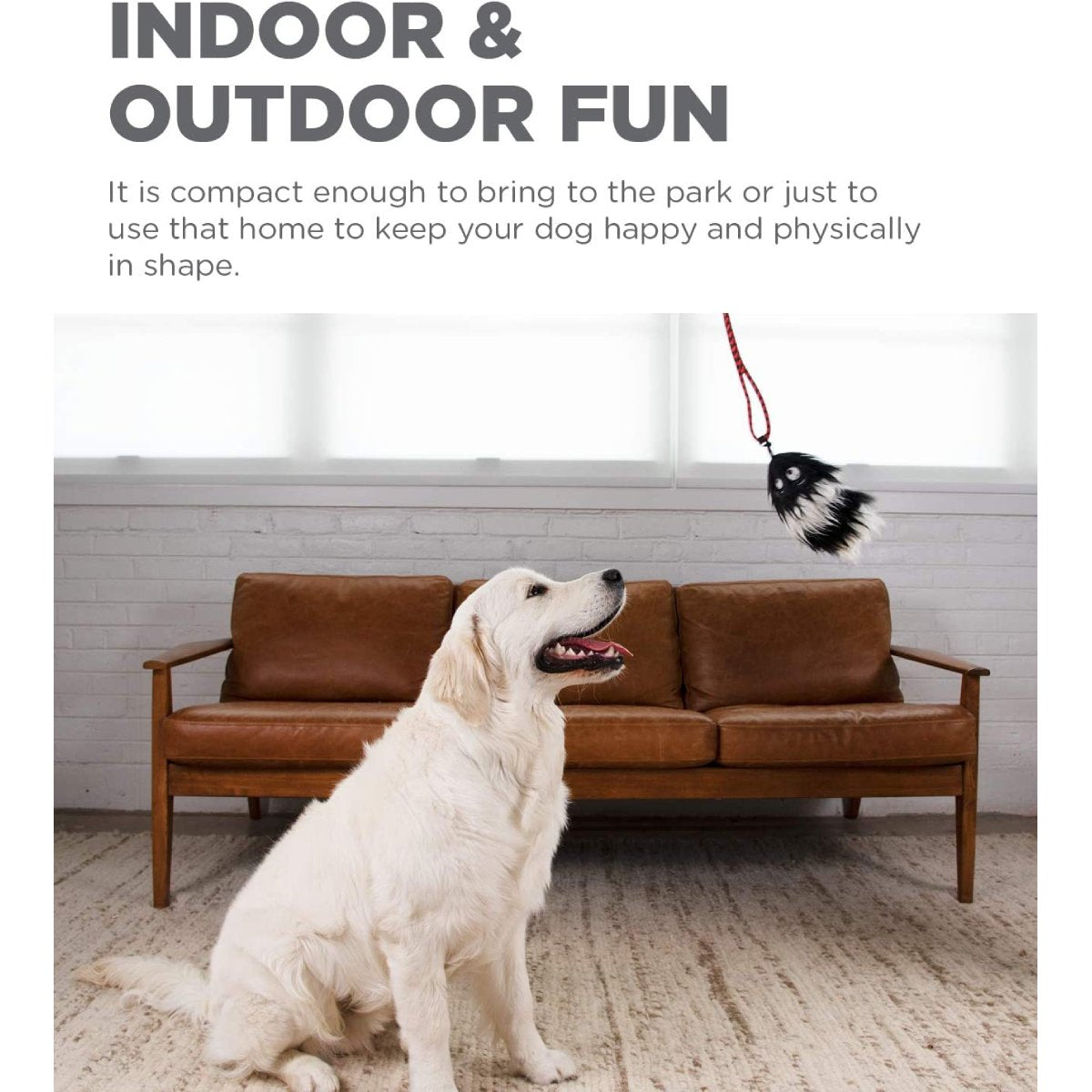 Dog watching an Outward Hound Tail Teaser faux-fur lure during indoor interactive play