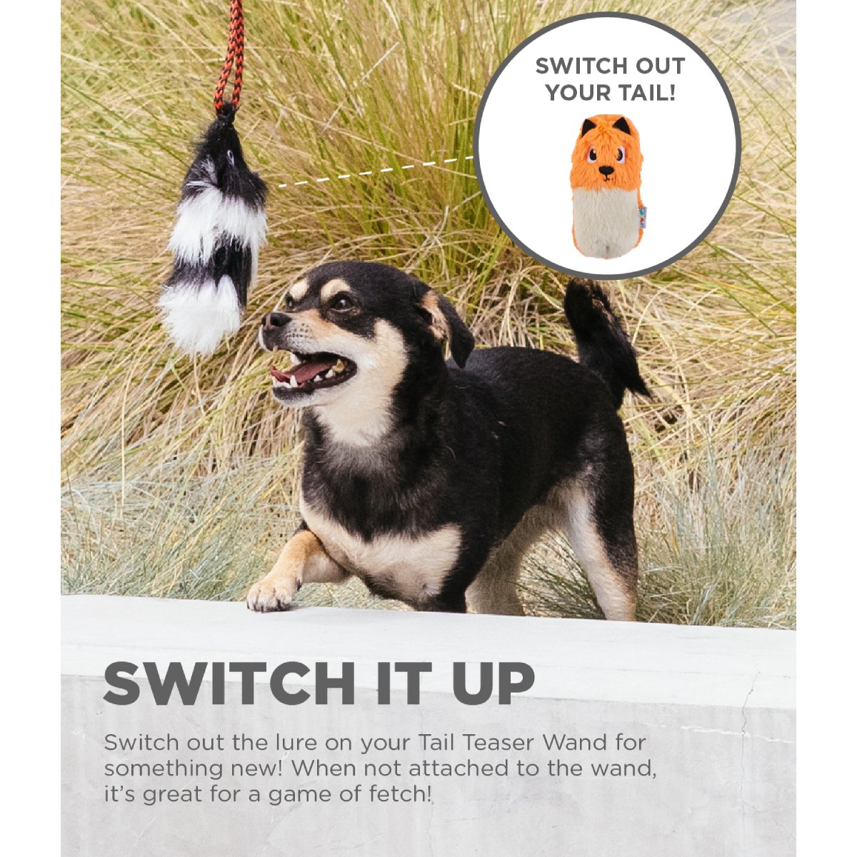 Outward Hound Tail Teaser graphic showing how the wand lure can be switched for a replacement lure