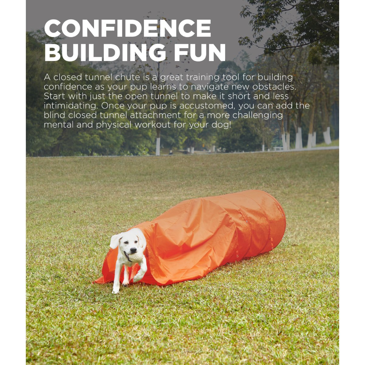 Dog exiting Outward Hound Zip & Zoom closed agility tunnel during confidence-building training