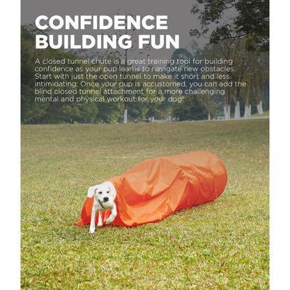 Dog exiting Outward Hound Zip & Zoom closed agility tunnel during confidence-building training