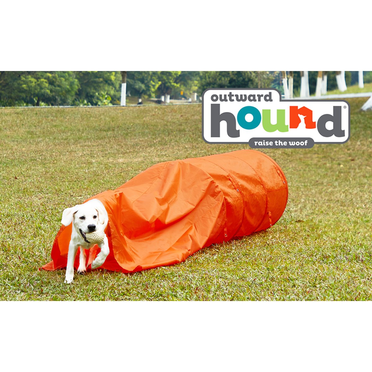 Dog running through Outward Hound Zip & Zoom Closed Dog Agility Tunnel outdoors