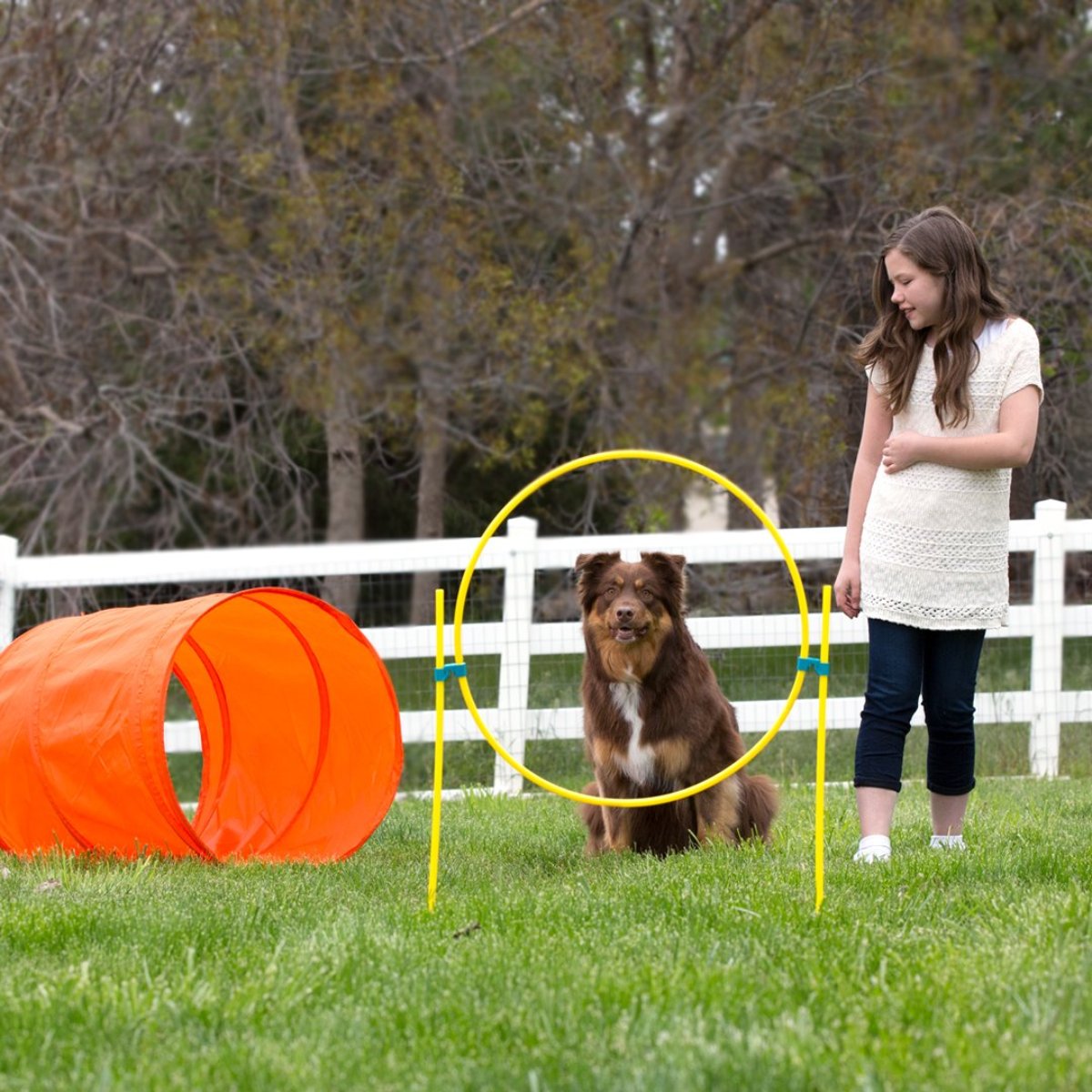 Dog using the Outward Hound Zip & Zoom adjustable hoop jump with agility tunnel nearby