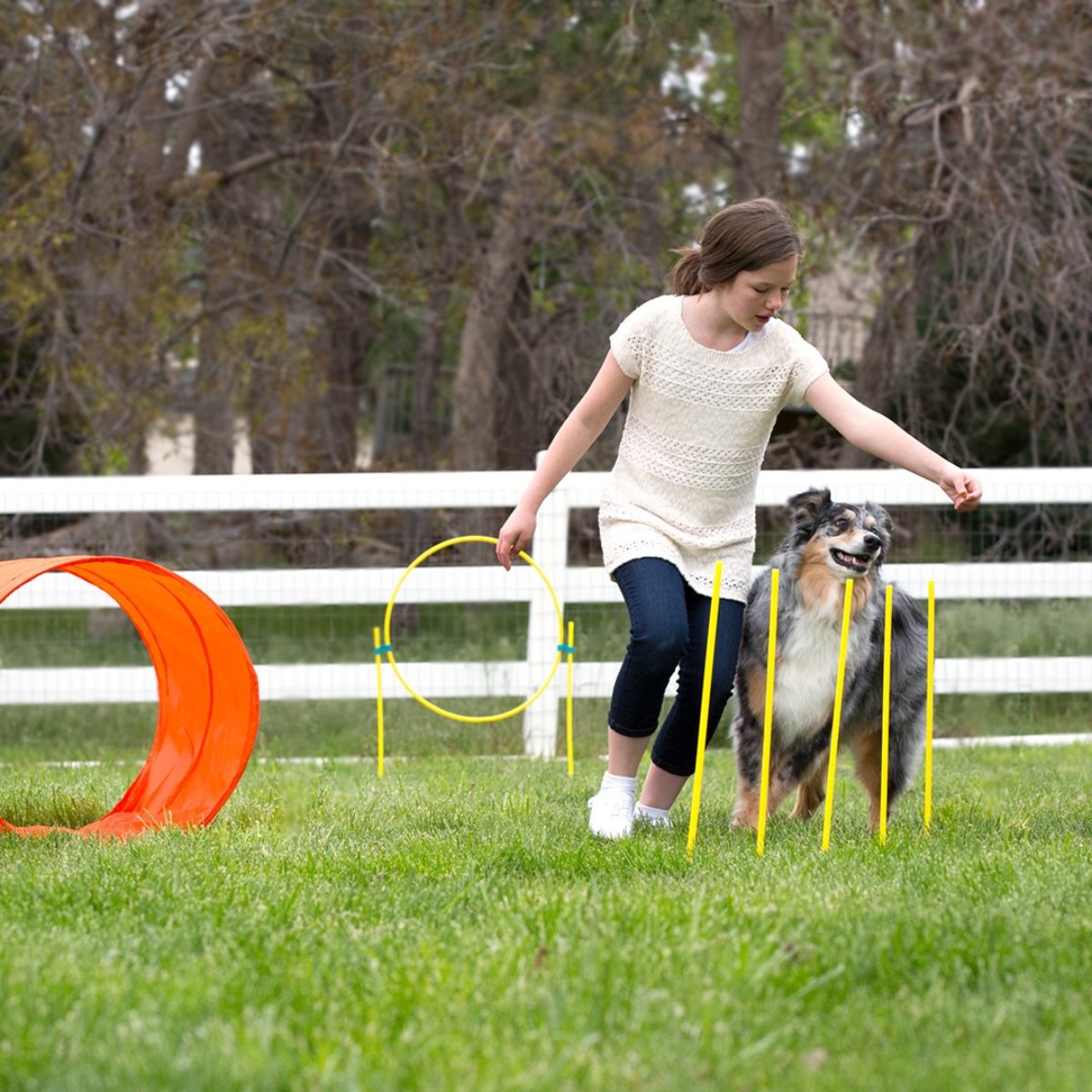 Outward Hound Zip & Zoom dog agility kit in use with tunnel, hoop jump and weave poles